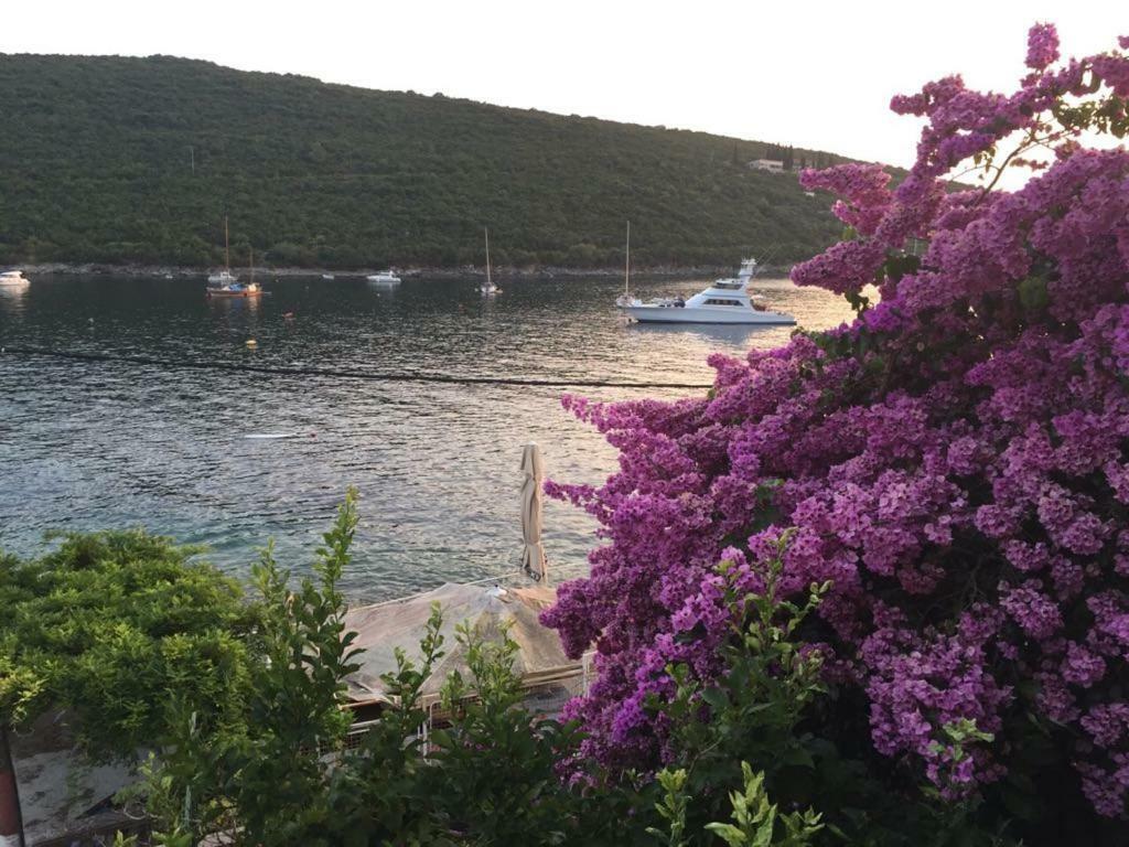 شقة Waterfront Townhouse Sunset View With Garage بيغوفا المظهر الخارجي الصورة